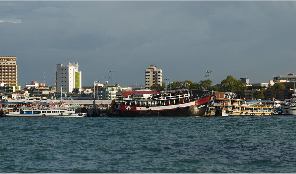 DSC03395