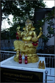 photo 957173