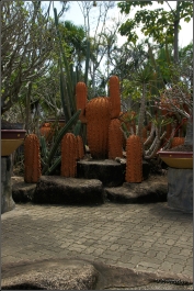 photo 952833