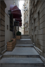 photo 1584517
