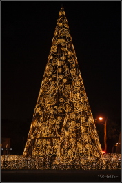 photo 1585713