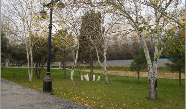 DSC07604