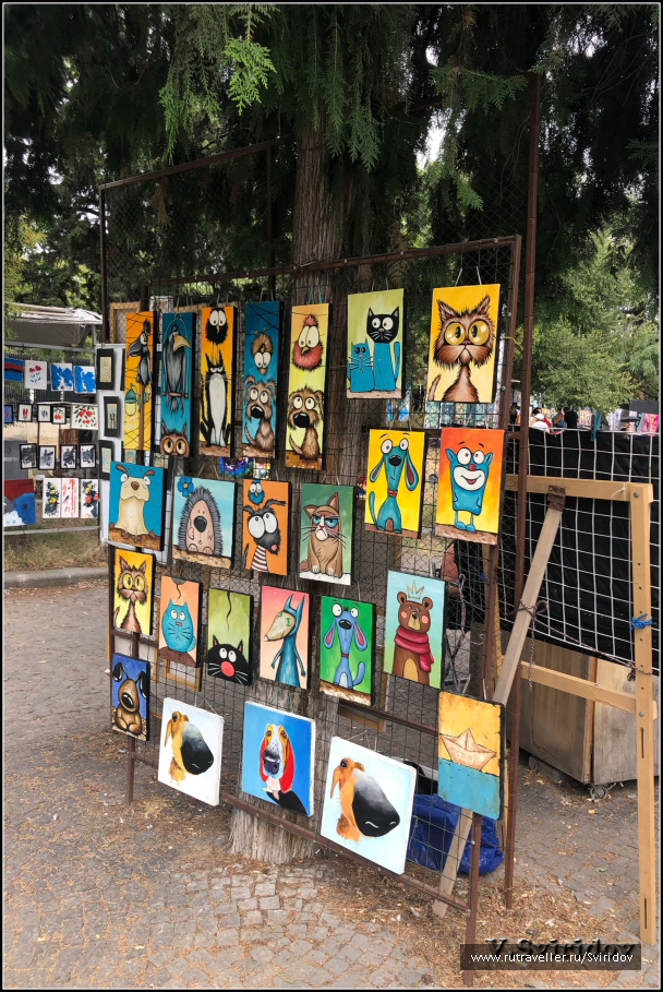 photo 1811084