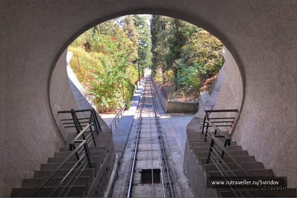 photo 2010910