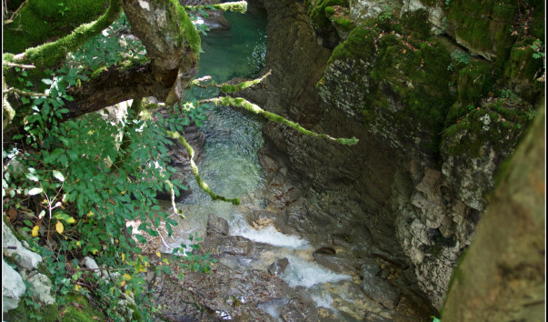 DSC00005