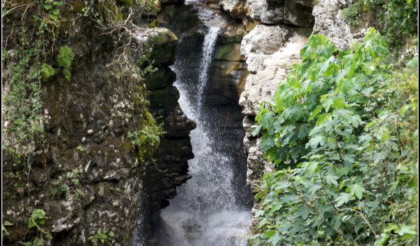 DSC09998