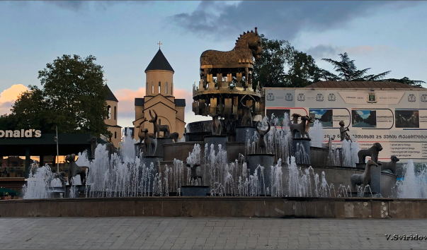 IMG_2613