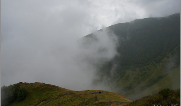 DSC09111
