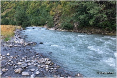 photo 1821401