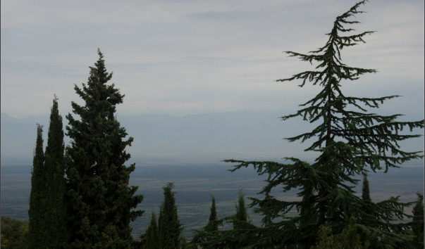 DSC08847