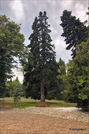photo 2011296