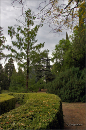 photo 2011302