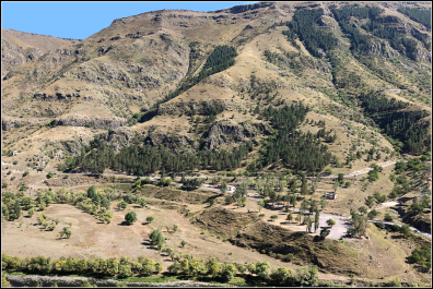 photo 1810431