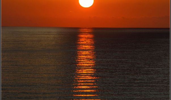 DSC09718