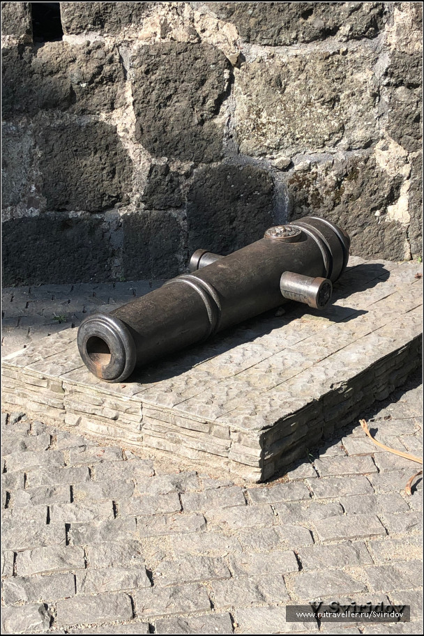 photo 1816425