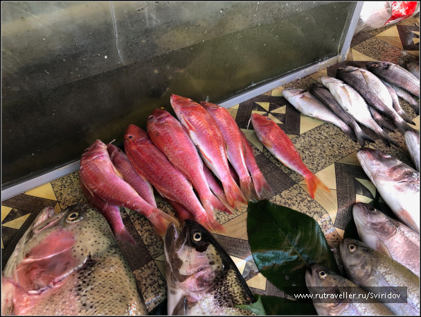photo 1822035