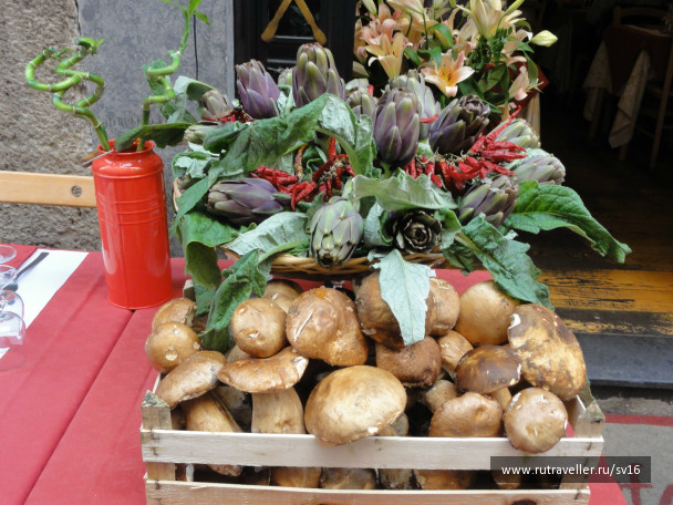 photo 242475