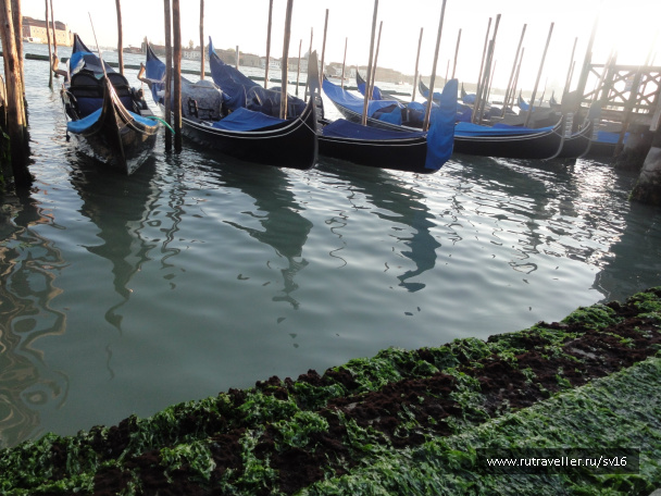 photo 242483
