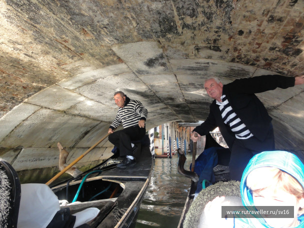 photo 242487