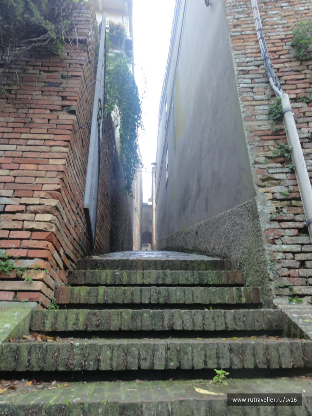 photo 242490
