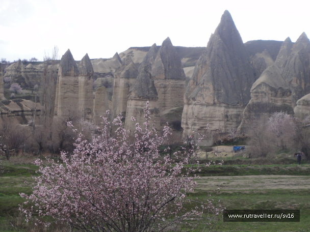 photo 1334727