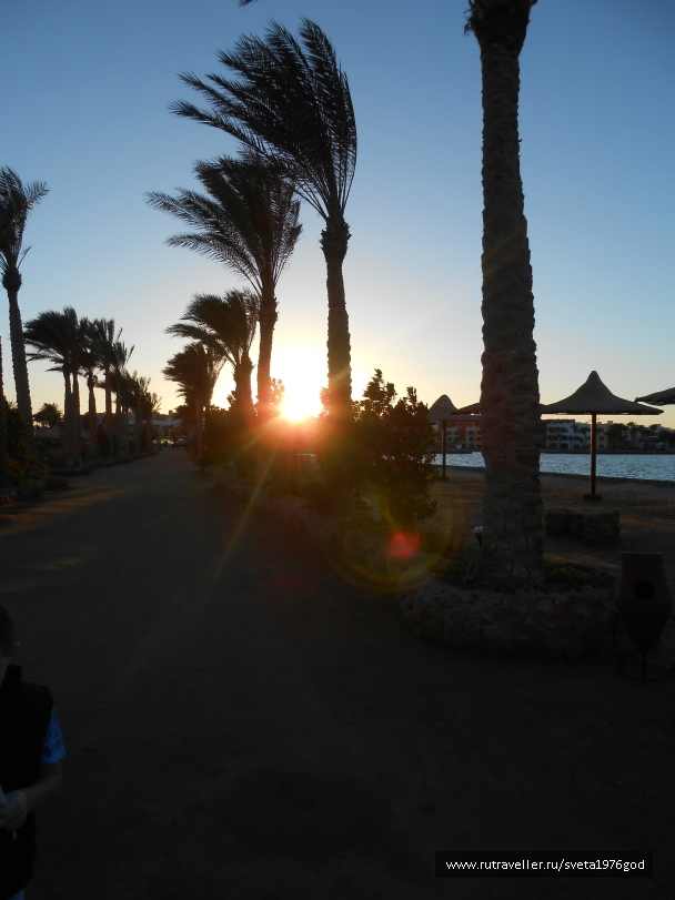 photo 853183