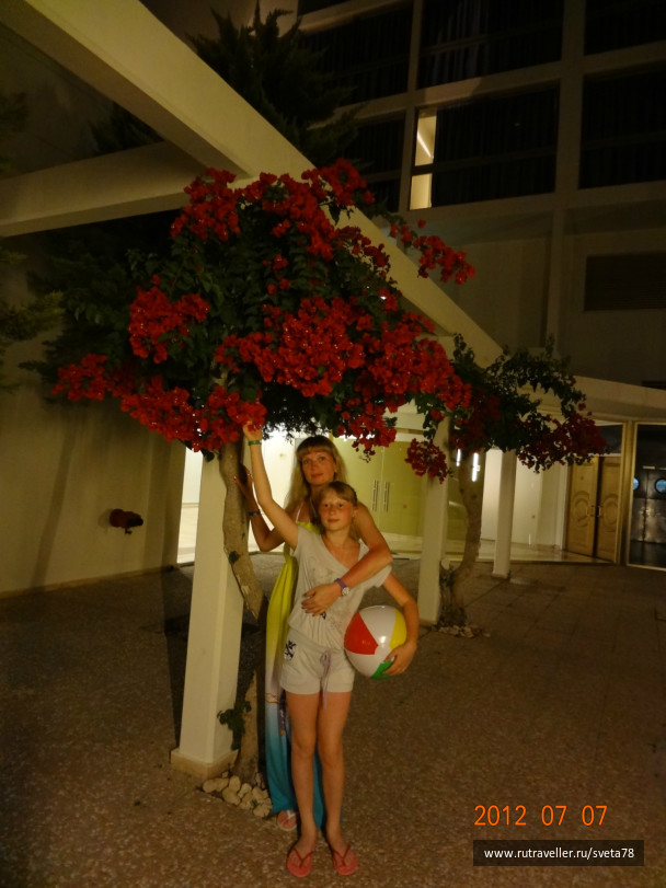 photo 112479