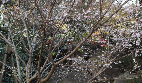 SDIM0369