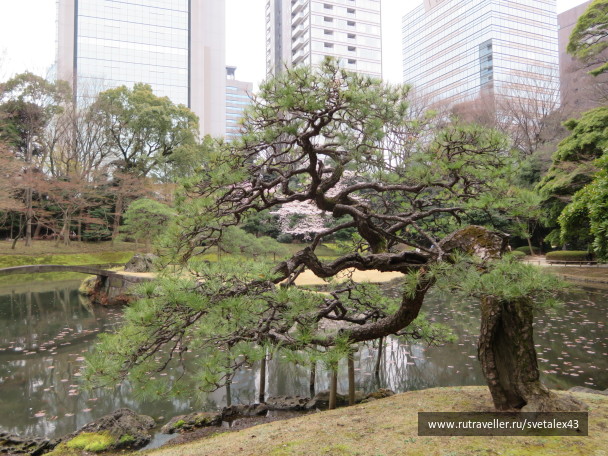 photo 1457146