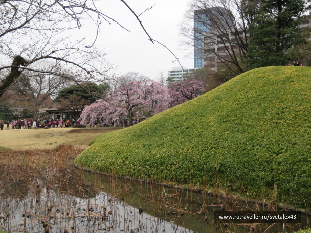 photo 1457151