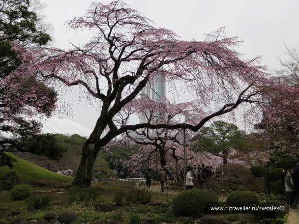 photo 1457153