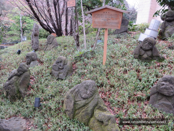 photo 1457743