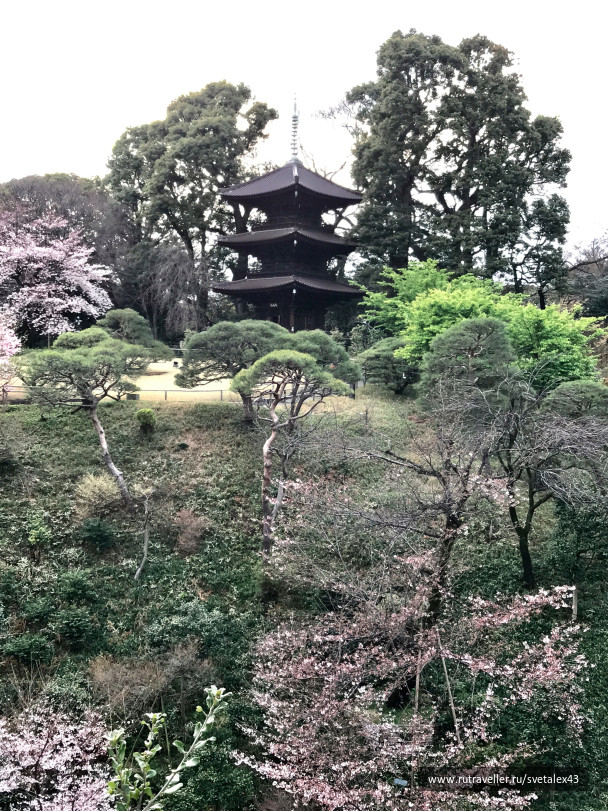photo 1457744