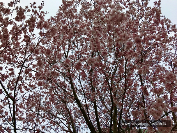 photo 1457746