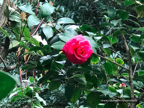 photo 1457749