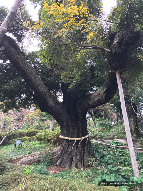 photo 1457751