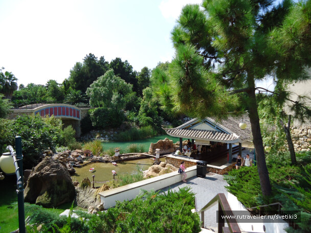 photo 37657