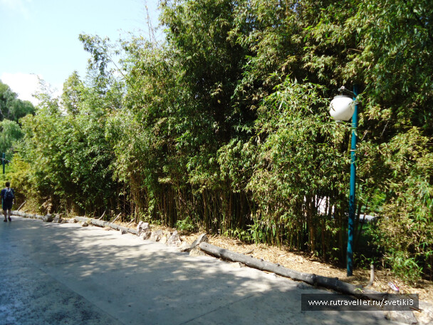 photo 37658