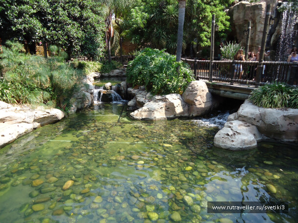 photo 37659