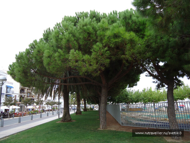 photo 37676