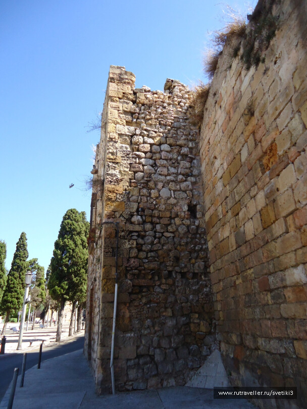 photo 37734