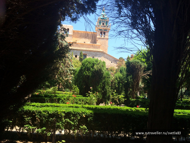 photo 1115228