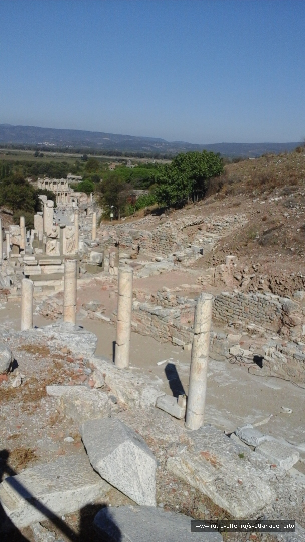 photo 1583429