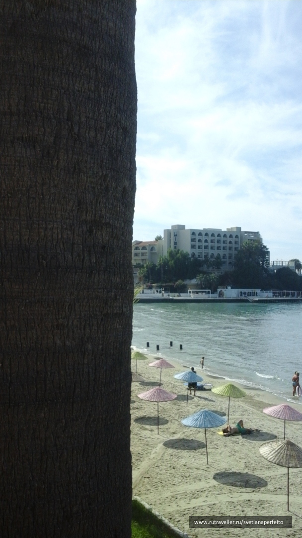 photo 1583433