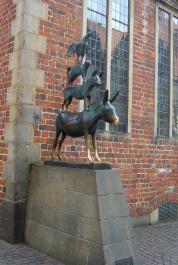 photo 444444