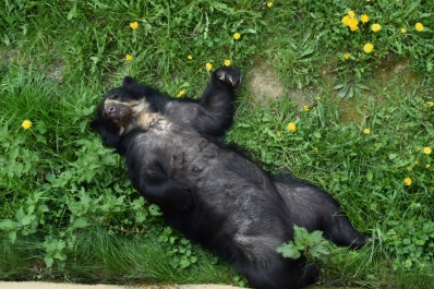 photo 724531