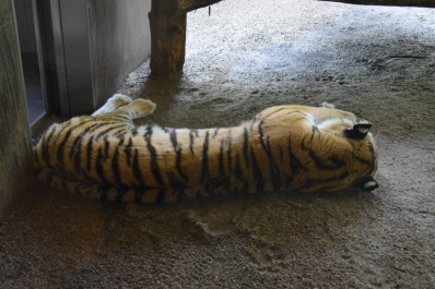 photo 724534