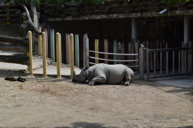 photo 724536