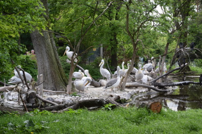 photo 724537