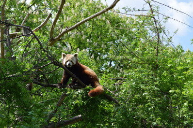 photo 724542